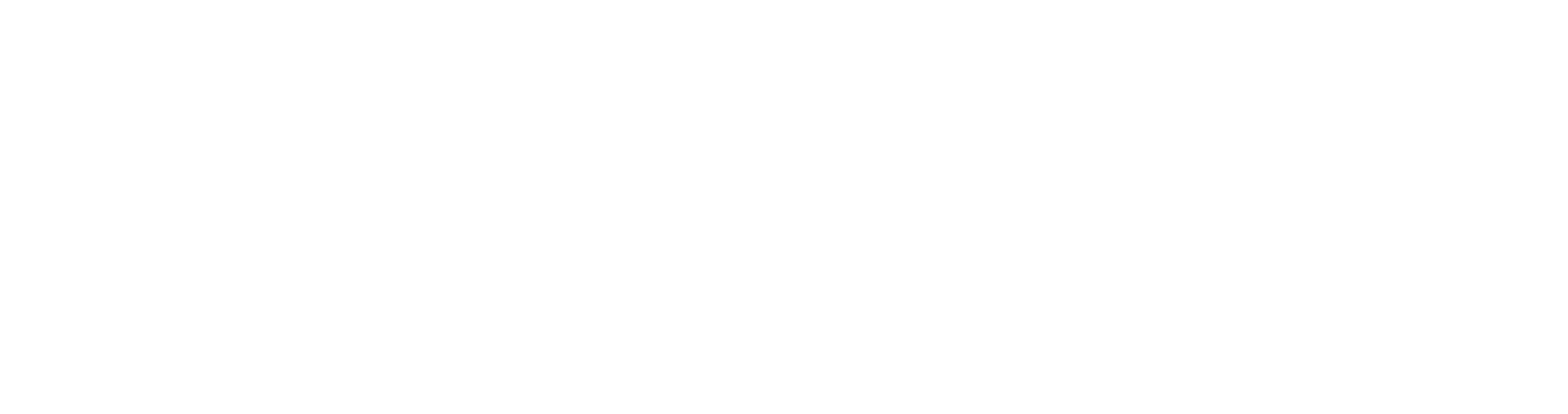 Lula Group Web Design